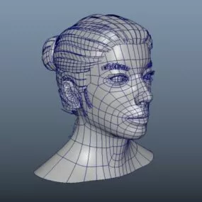 Beauty Female Head 3d model