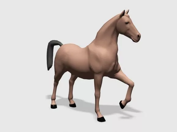 Tree Horse Chestnut Plant 3d model