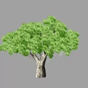 Big Tree Lowpoly 3d model