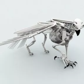 Undead Bird Skeleton 3d model