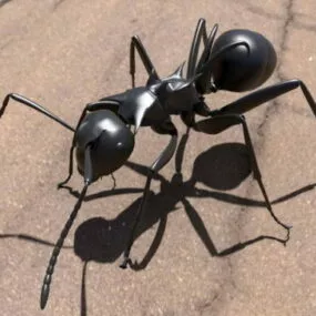 Black Ant Crawling 3d model