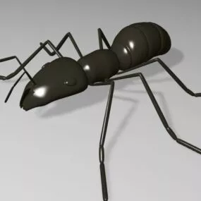 Lowpoly Black Ant 3d model