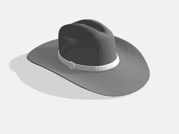 Fashion Hat Lines Pattern 3d model