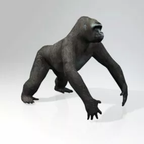 Realistic Black Gorilla 3d model