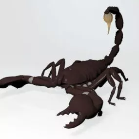 Black Poison Scorpion 3d model