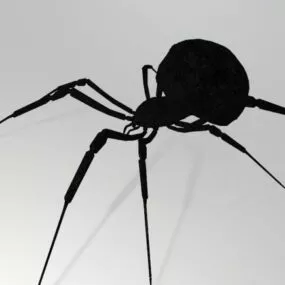 Widow Spider 3d model