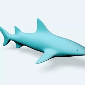 Blue Shark Lowpoly 3d model