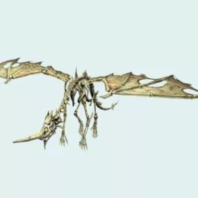 Bone Drake 3d model