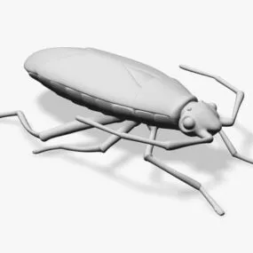 Boxelder Bug 3d model