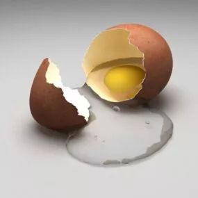 Broken Egg 3d model