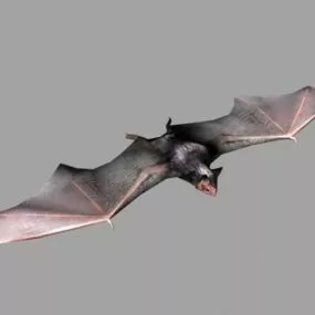 Brown Bat Flying 3d model