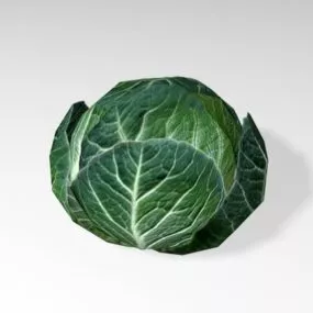 Green Cabbage Vegetable V1 3d model