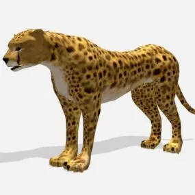 Lowpoly Cheetah Leopard 3d model
