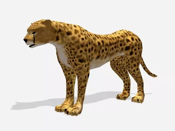 Lowpoly Cheetah Leopard 3d model Lowpoly Cheetah Leopard 3d model