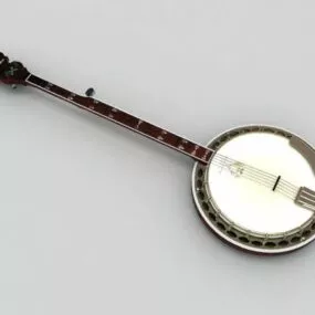 Chinese Ruan Instrument 3d model
