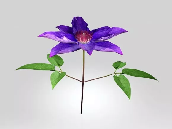 Flower Pot Terracotta Pot 3d model