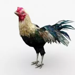 Roaster Chicken 3d model