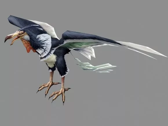 Realistic Condor Bird 3d model Realistic Condor Bird 3d model