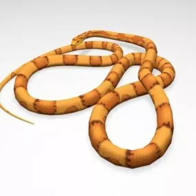 Corn Snake 3d model