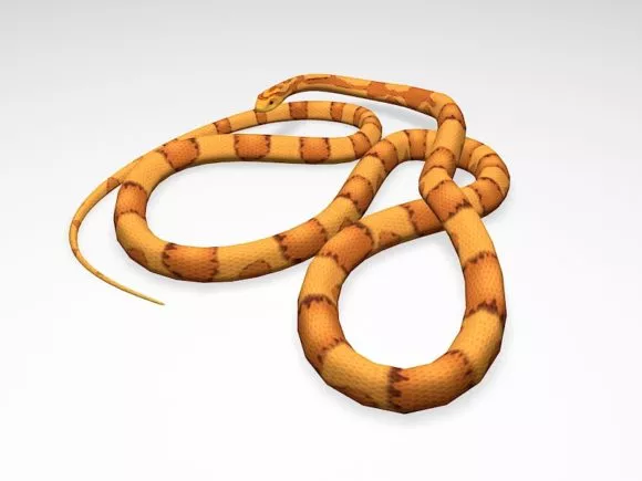 Corn Snake 3d model Corn Snake 3d model
