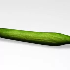 Green Cucumber V1 3d model