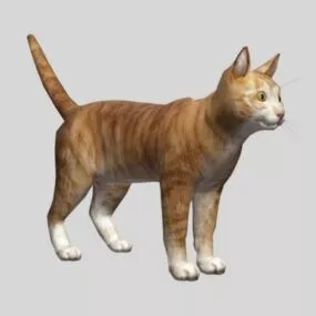 Realistic Orange Cat 3d model