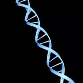 Dna 3d model