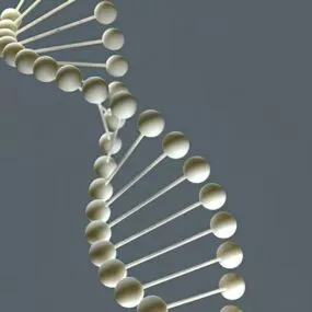 Dna Structure 3d model