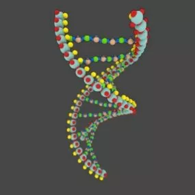 Dna Molecule Structure 3d model