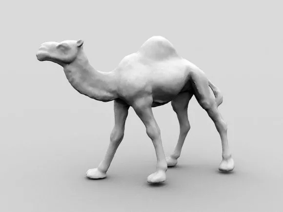 Indochinese Tiger Animal 3d model