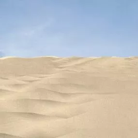 Desert Sand Scene 3d model