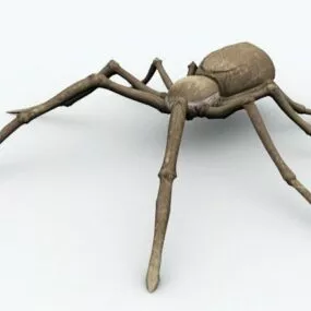 Wild Desert Spider 3d model