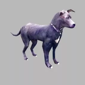 Realistic Dobermann Dog 3d model