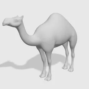 Dromedary Camel Animal 3d model