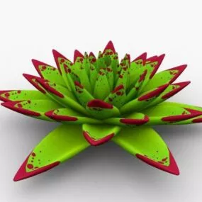 Echeveria Plant Cactus 3d model