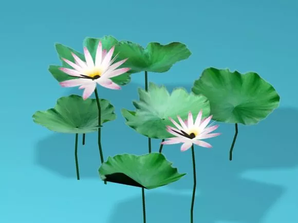 Beautiful Tropical Tree 3d model