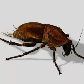 Fallout Cockroach 3d model