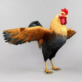 Farm Rooster 3d model
