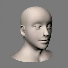 Female Head Base Mesh 3d model