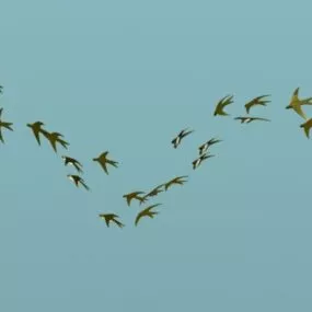 Flock Swallow Bird 3d model