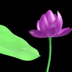 Flower Water Lotus 3d model