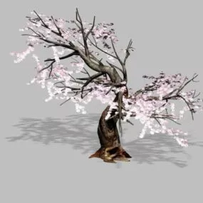 Flowering Plum Bonsai Tree 3d model