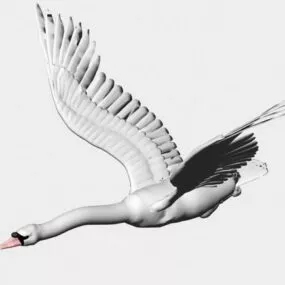 Swan Bird 3d model