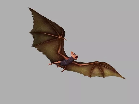 Red Wind Serpent 3d model