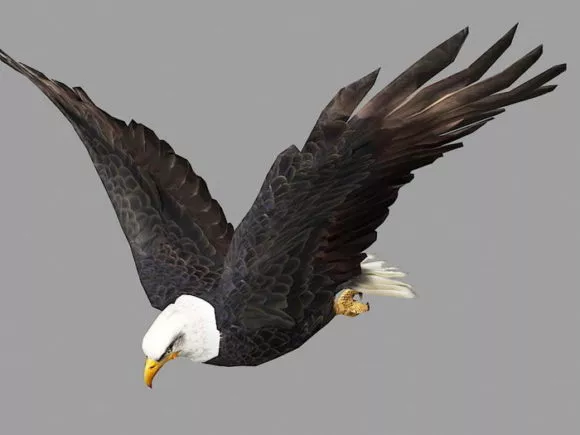 Flock Swallow Bird 3d model