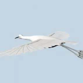 Egret 3d model