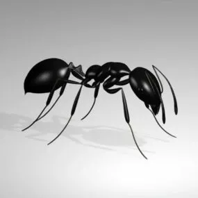 Giant Black Ant 3d model