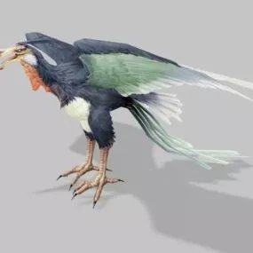 Giant Condor Bird 3d model