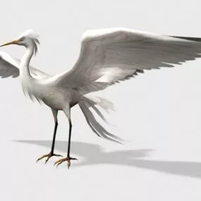 Wild Egret Bird 3d model