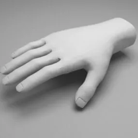 Hand Base Mesh 3d model